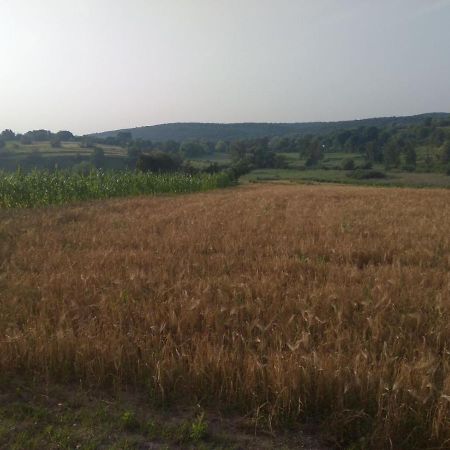 Вілла Соколине Гніздо Дмитренки Екстер'єр фото