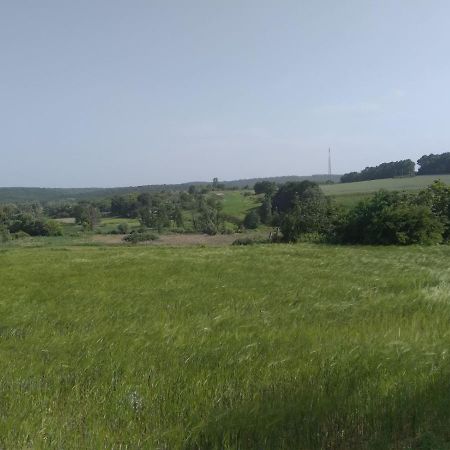 Вілла Соколине Гніздо Дмитренки Екстер'єр фото