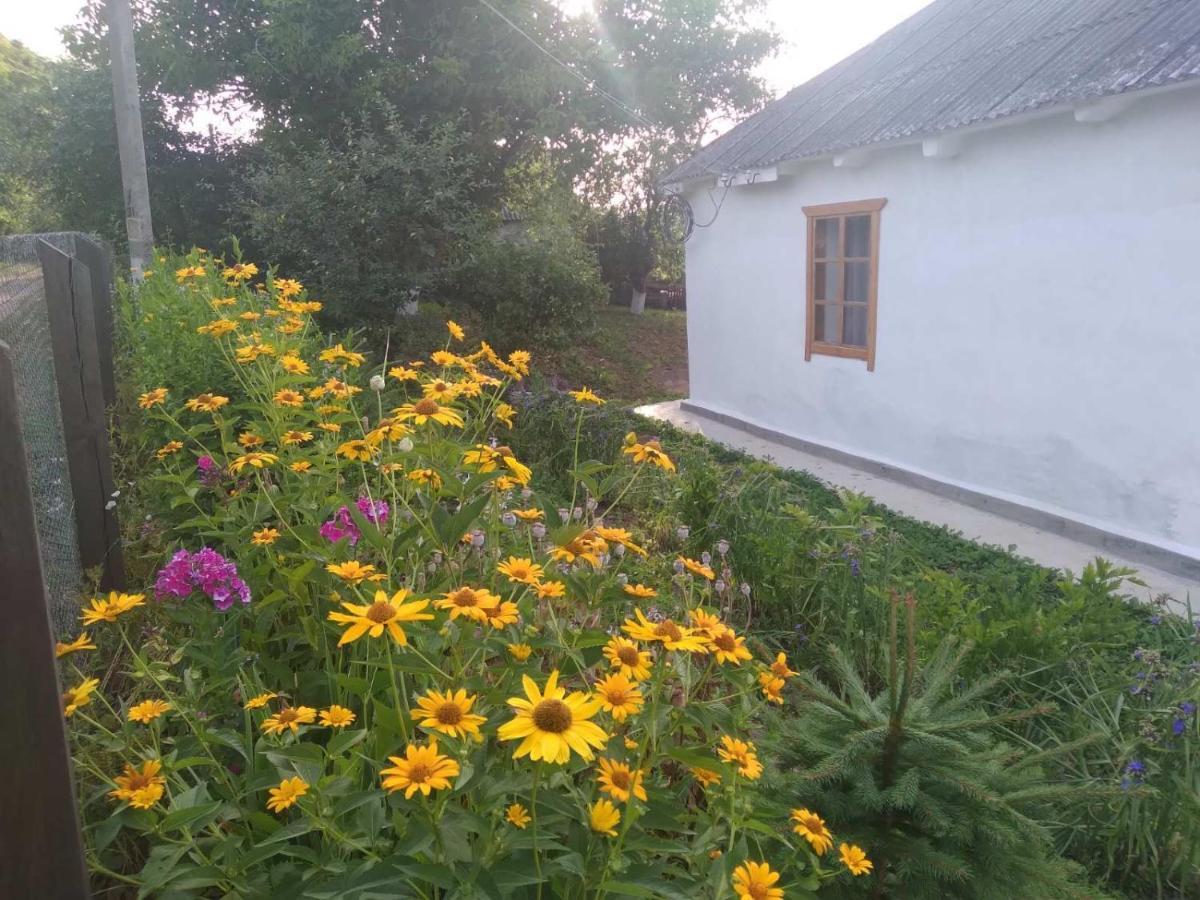Вілла Соколине Гніздо Дмитренки Екстер'єр фото