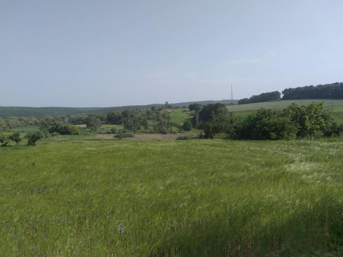 Вілла Соколине Гніздо Дмитренки Екстер'єр фото