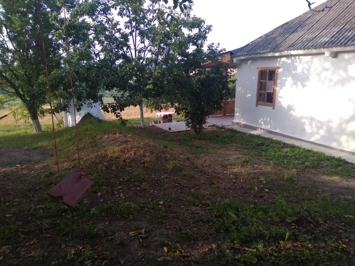 Вілла Соколине Гніздо Дмитренки Екстер'єр фото