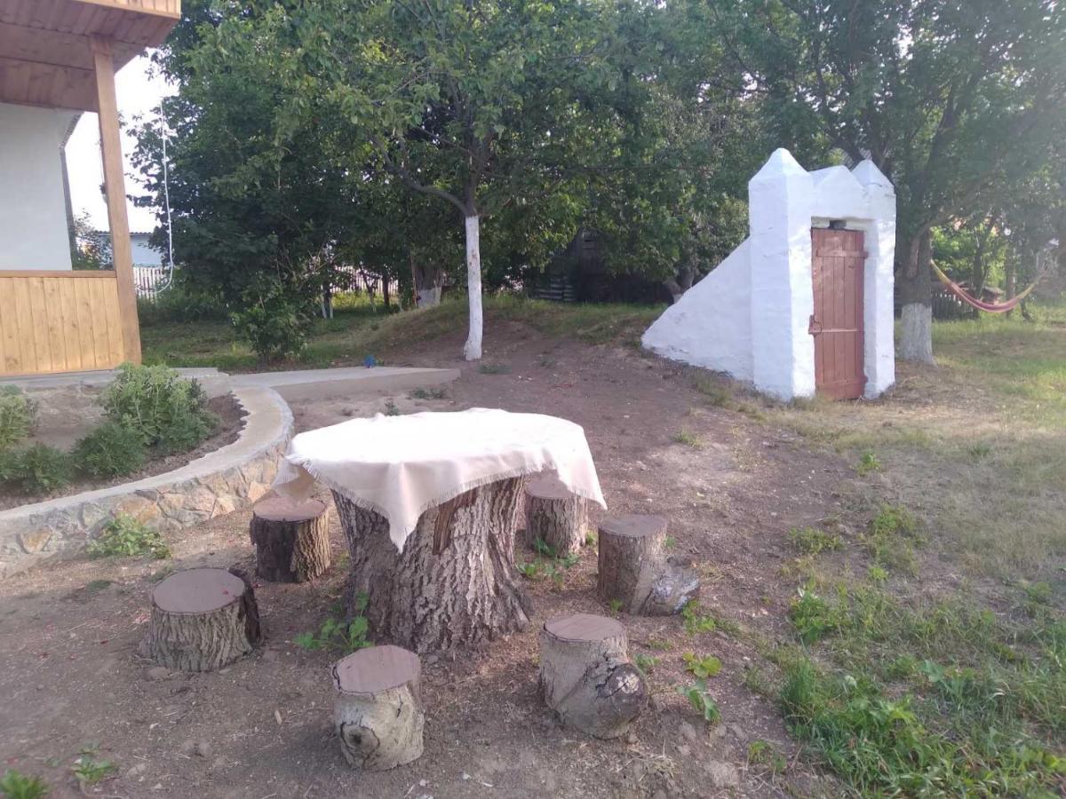 Вілла Соколине Гніздо Дмитренки Екстер'єр фото