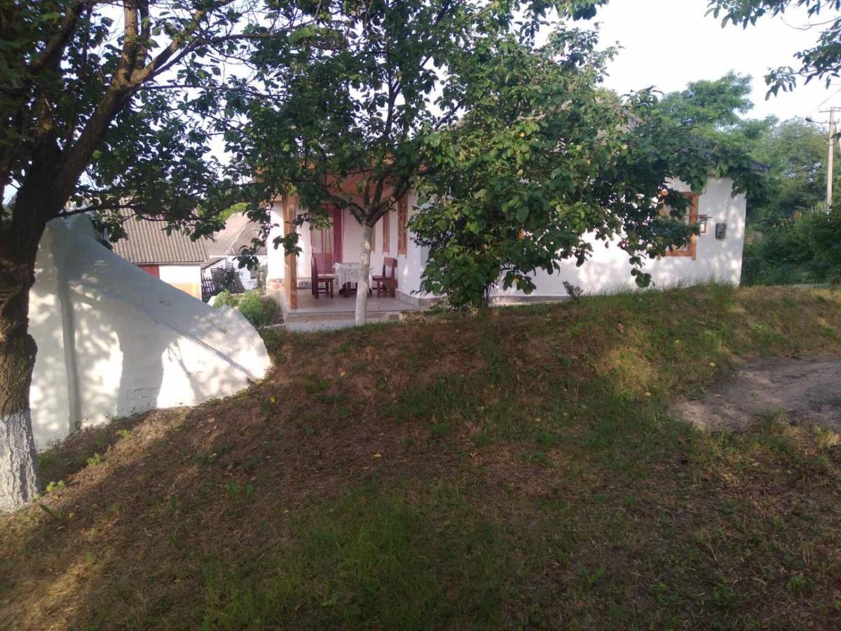 Вілла Соколине Гніздо Дмитренки Екстер'єр фото